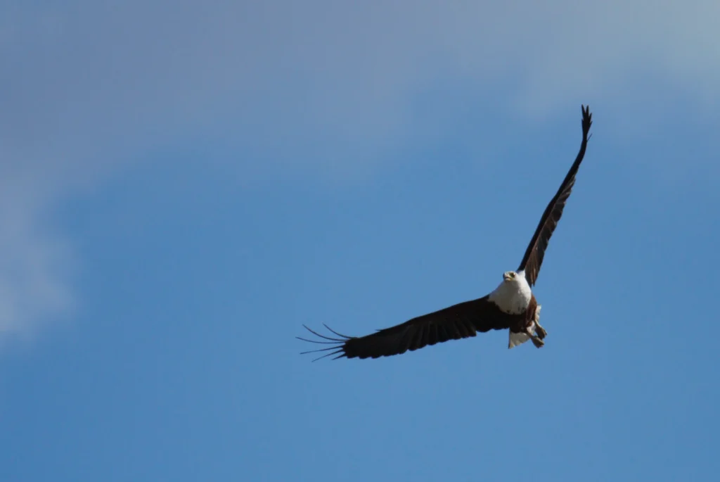 DSC_0075 (2)
