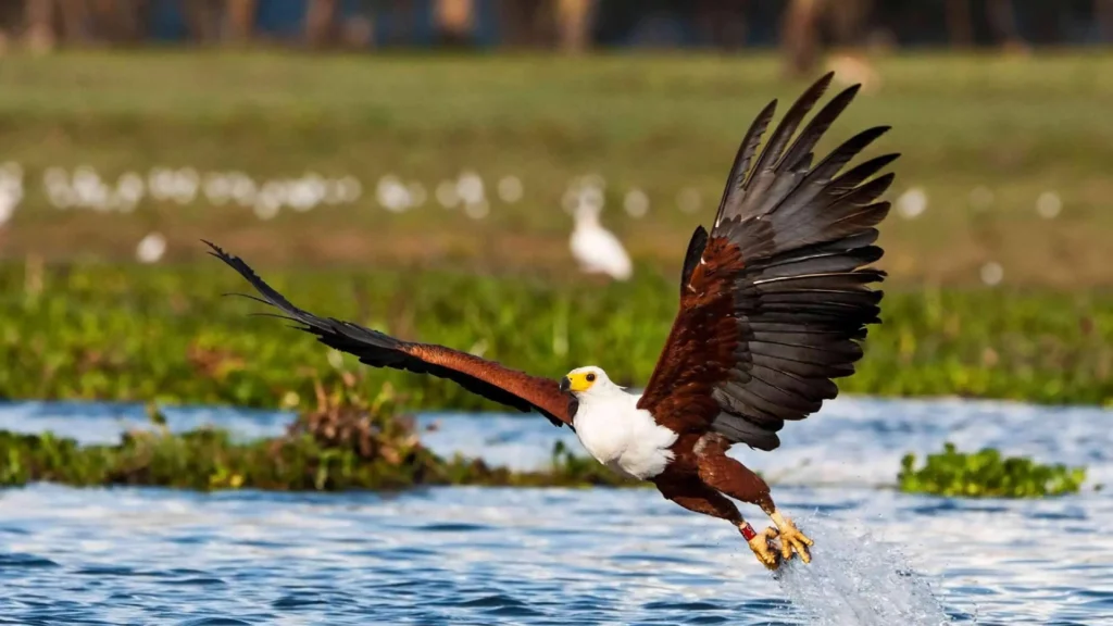 gallery-cascate-vittoria-10