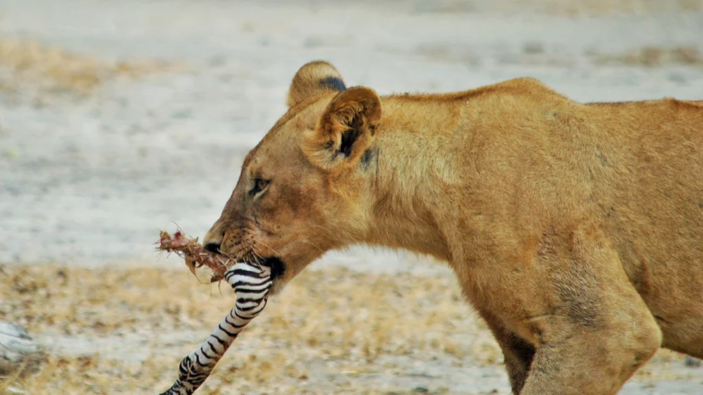 gallery-cascate-vittoria-12
