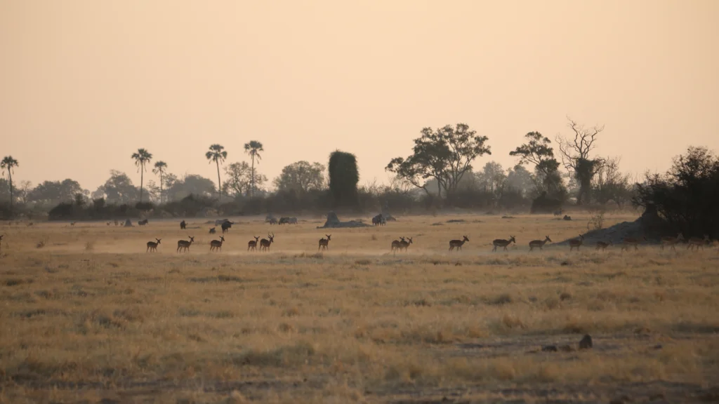 gallery-cascate-vittoria-2