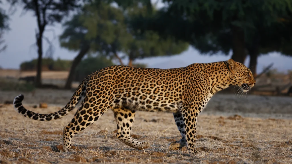 gallery-cascate-vittoria-4