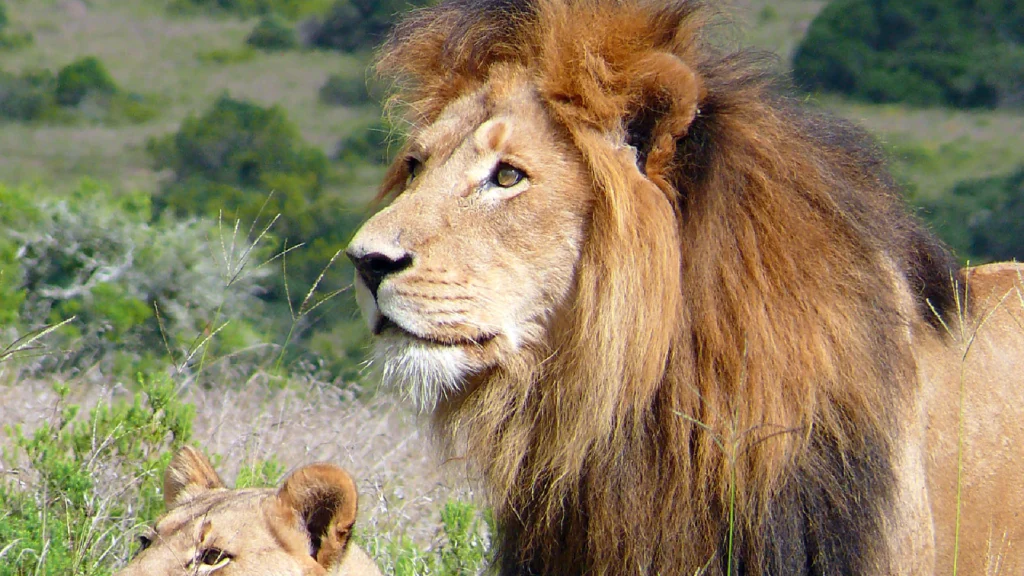 gallery-cascate-vittoria-9