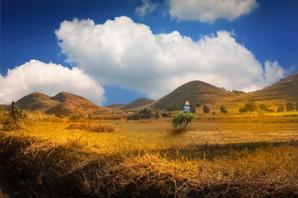 madagascar-1711082